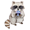 Trash Panda's Closet