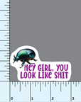 Hey Girl, You Look Like Shit- dung beetle vinyl sticker