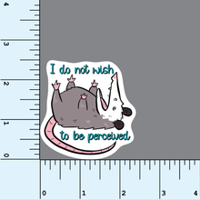 Load image into Gallery viewer, I do not wish to be perceived vinyl sticker
