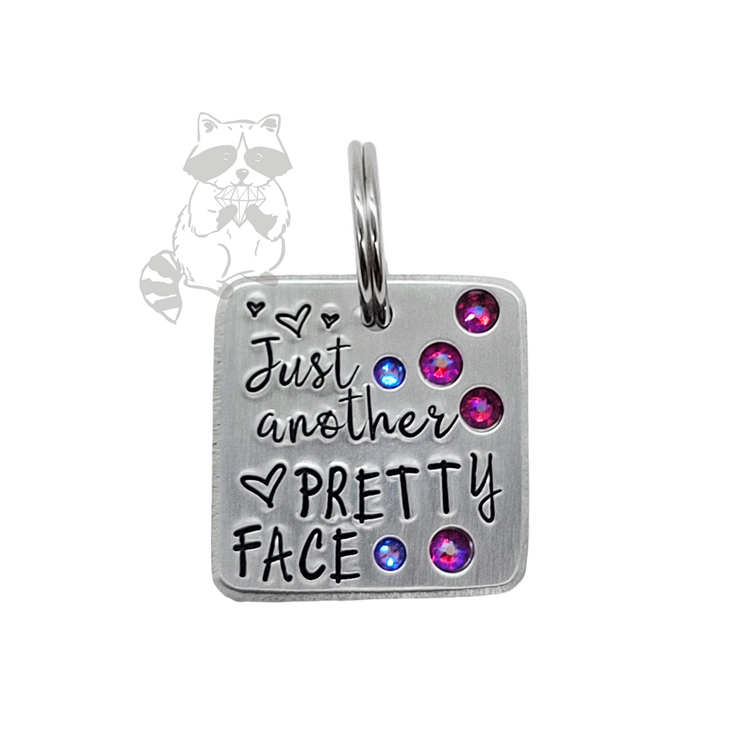Just Another Pretty Face 1.25 inch ditto tag